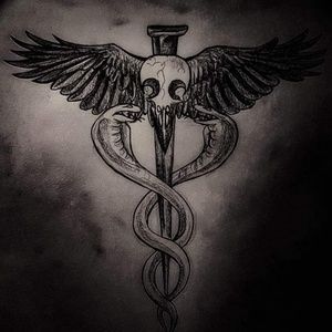 Meet your Posher, Lacey